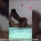 SNEAKY LINK: She Was Twerking Hard On Her Side Guy