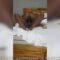 Part 1: Læk Nude Video Of  Ex BBNaija Star Angela And Her Huge Handsome Crush Smith Fvcking In A Hotel Room
