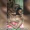Trending Leak: Three Neighbours Caught In Wild Threesome As Tunde Gives Chiamaka Heavy Backshots While Using A Dildo On Amaka As Both Girls Kiss