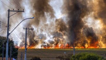 Reno Nevada Wildfire Evacuations (2026): Mass Evacuation Map, Fire Spread & Emergency Footage