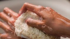 Viral Body Scrubber Why This Shower Tool Is