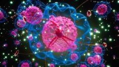 russian-plague-outbreak-lab-worker-update